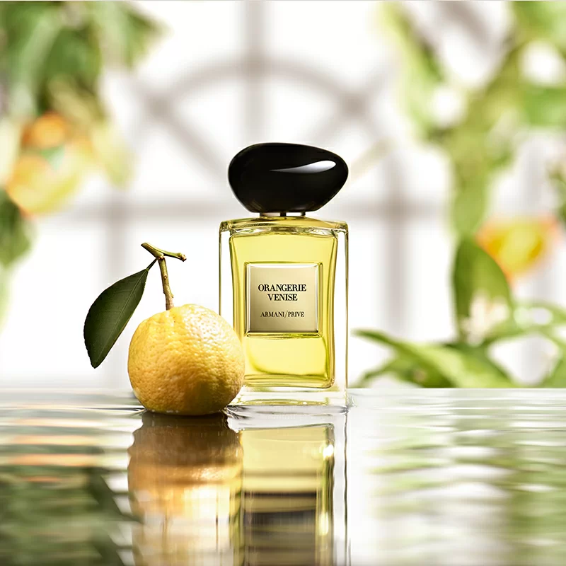 20250321-orangerie-venise-