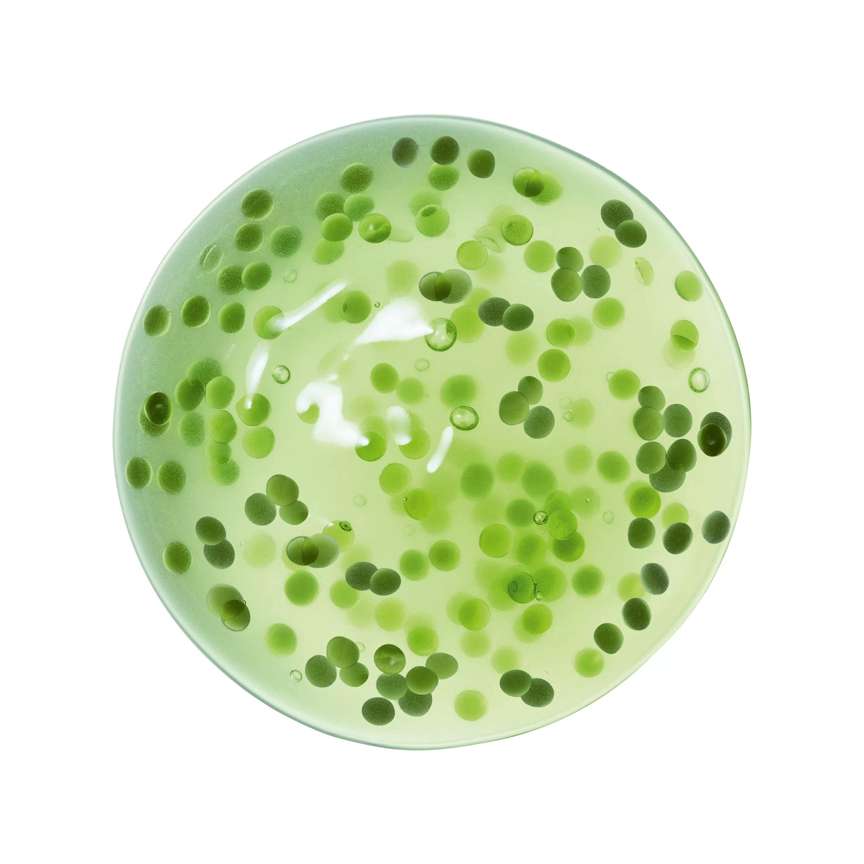 Crema Nera極致再生全效修護精華